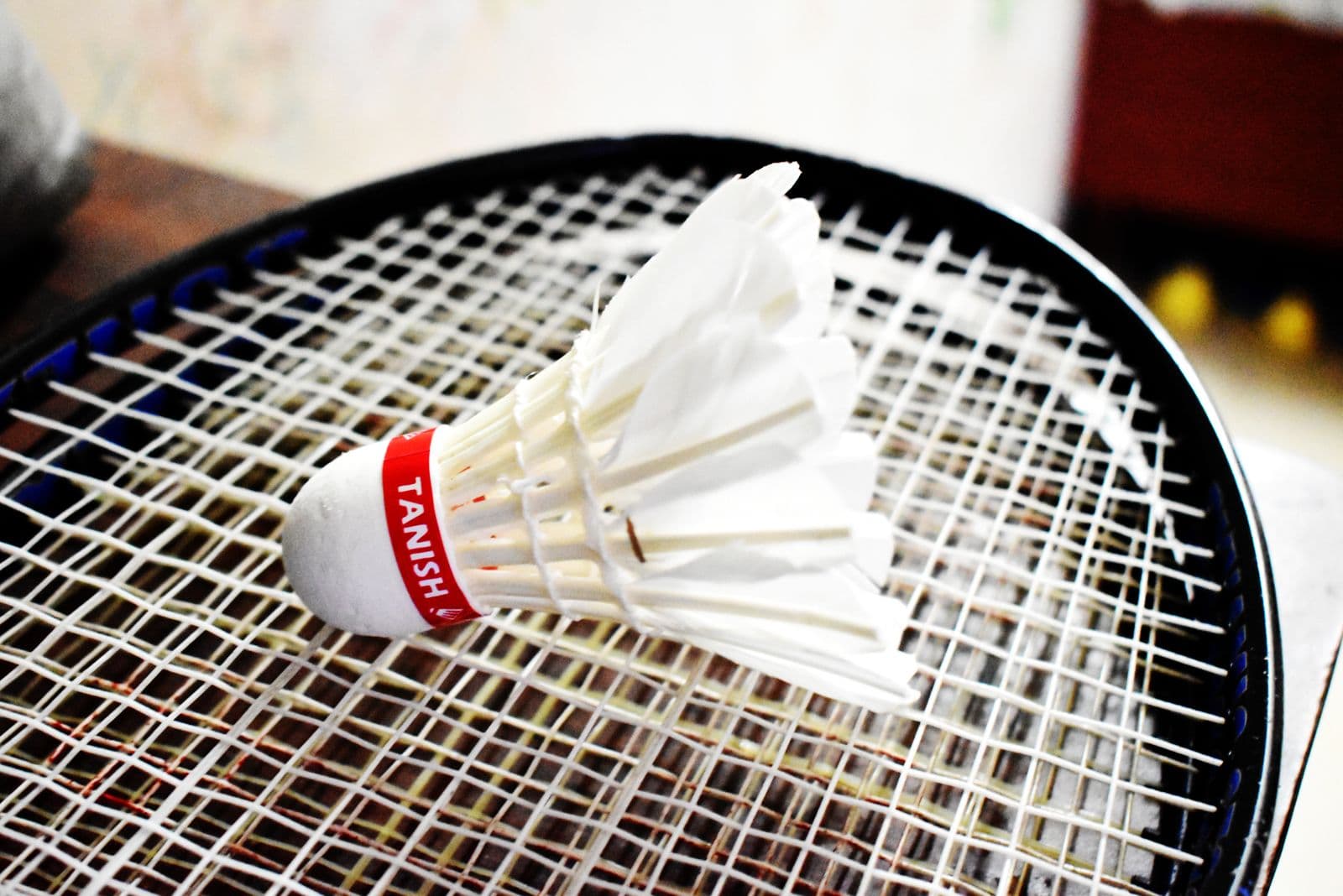 Close-up of a shuttlecock resting on a badminton racket